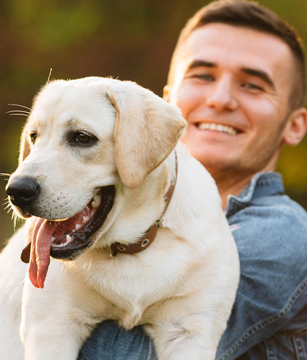 Reabilitação Animal, Fisioterapia Veterinária em Porto Alegre