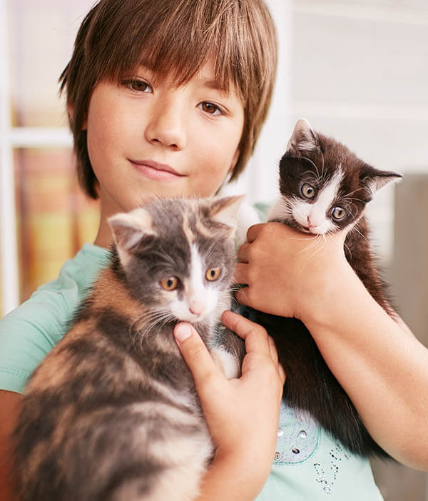 Reabilitação Animal, Fisioterapia Veterinária em Porto Alegre