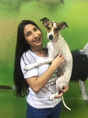 Reabilitação Animal, Fisioterapia Veterinária em Porto Alegre