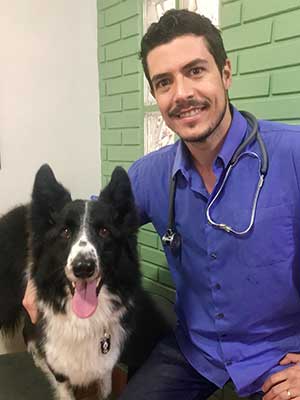 Reabilitação Animal, Fisioterapia Veterinária em Porto Alegre